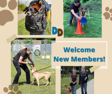 Welcome-New-Members
