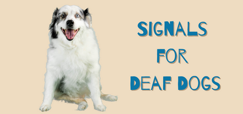 signals