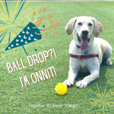 ball drop (1)