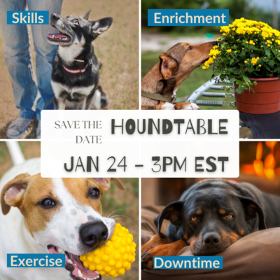 Houndtable Jan 24 - 3pm EST