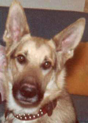mom 1st baby duke