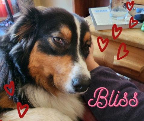 Bliss