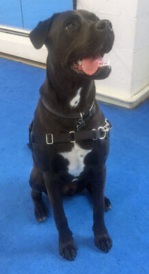 pcotc maddox lab x