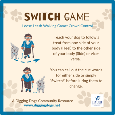 LLW Switch Logo