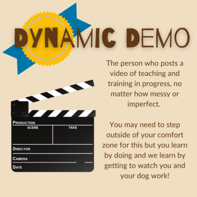 Dynamic Demo