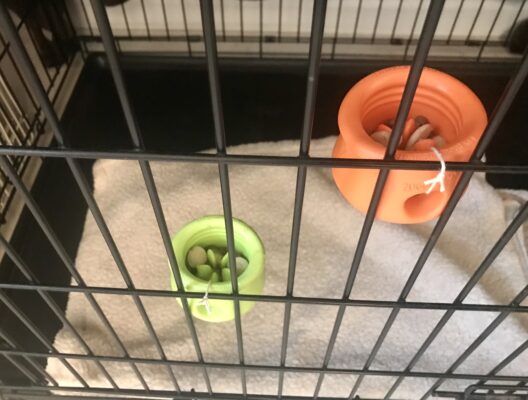 enrichment toppls attached to crate
