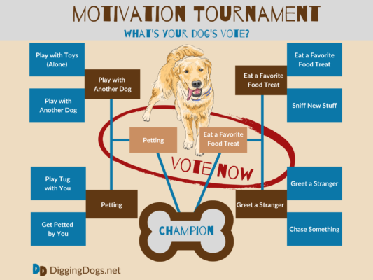 Template Motiation Tournament (6)