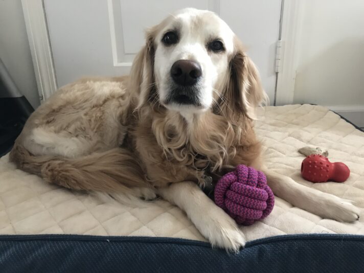lilly on bed 0319