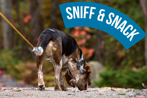Sniff and Snack Hack