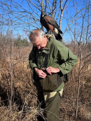 ray hawk on shoulder 2025