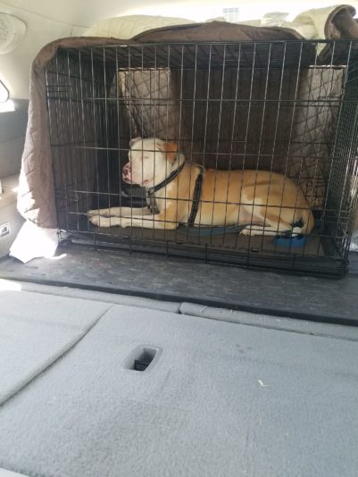 Barkley Bvet trip 2
