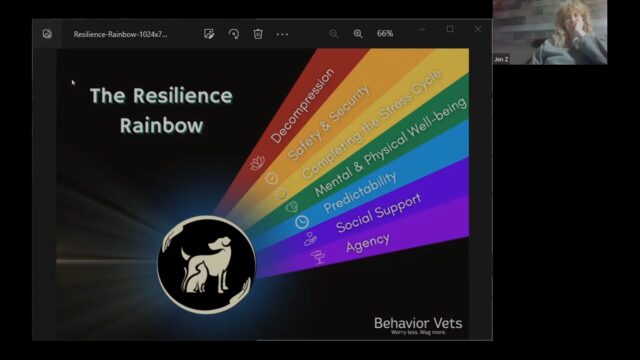 DD HT Resilience - Social Support - CC Feb 2023