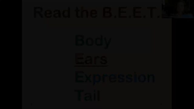 DD HT BEET Body Arousal Position Tension CC