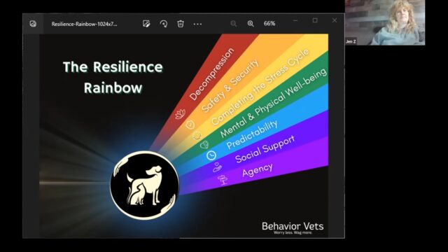DD HT Resilience - Complete the Stress Cycle CC Feb 2023