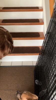 Luke Piacente learns stairs 0223