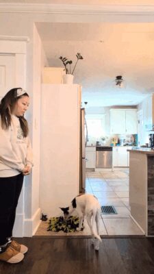 Connection Hand Target Pattern Game