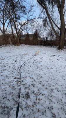 IMG_1710