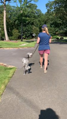 MS.gentle.walk