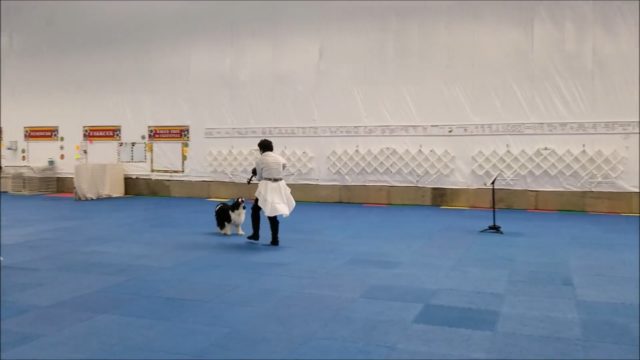 Julie Flanery - Kashi - Freestyle