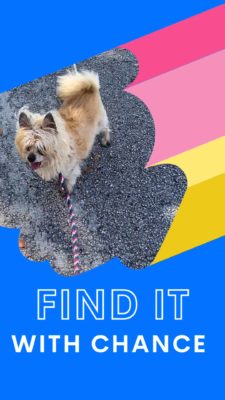 Chance Find It