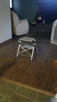 Barkley stops before over stool