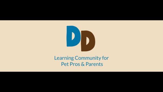 Digging Dogs Starting a plan for enrichment with Allie Bender