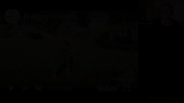 LLW Amy Jensen Freeshaping Attention on Leash
