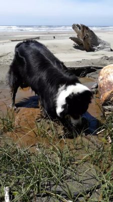 digging joy