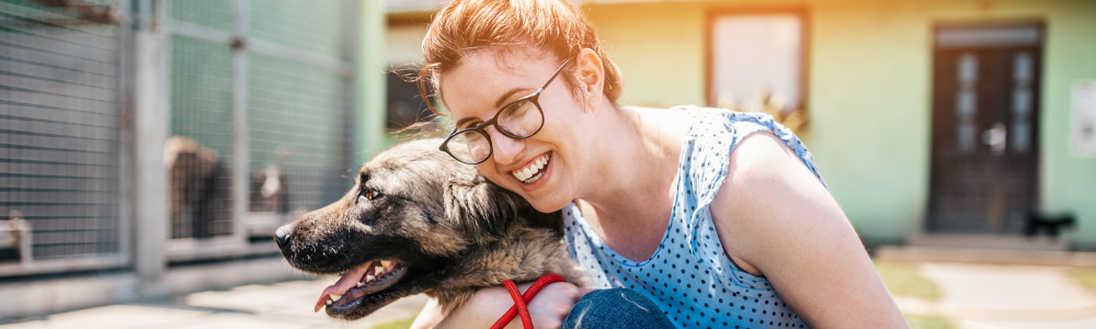 Shelter Dogs