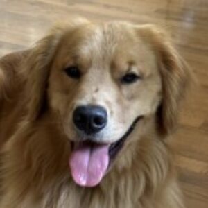 Profile photo of Jill G
